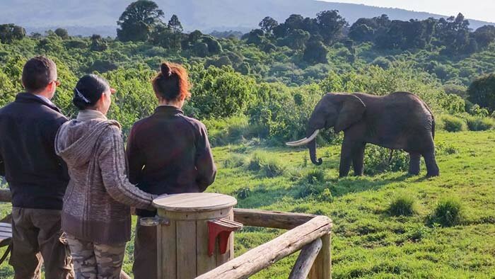 Rhino-Lodge-15-700px