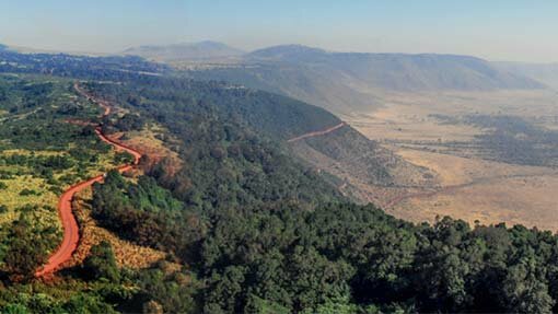 Rhino-Ngorongoro-crater-road