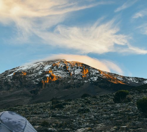 yoad-shejtman-S8IflvEHBFk-unsplash